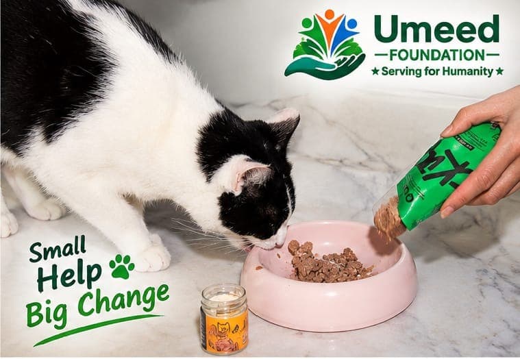 Small Help Big Change - Wet Food Pouch Serving